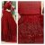Red Net Heavy Embroidered Maxi ZC