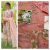 Lawn Dress By Andaaz Code: LAWN786